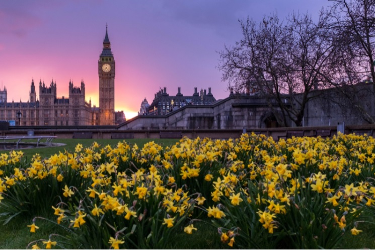 London offers many entertainments while housesitting